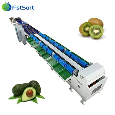 Mașină de clasificare pentru sortarea greutății Kiwi